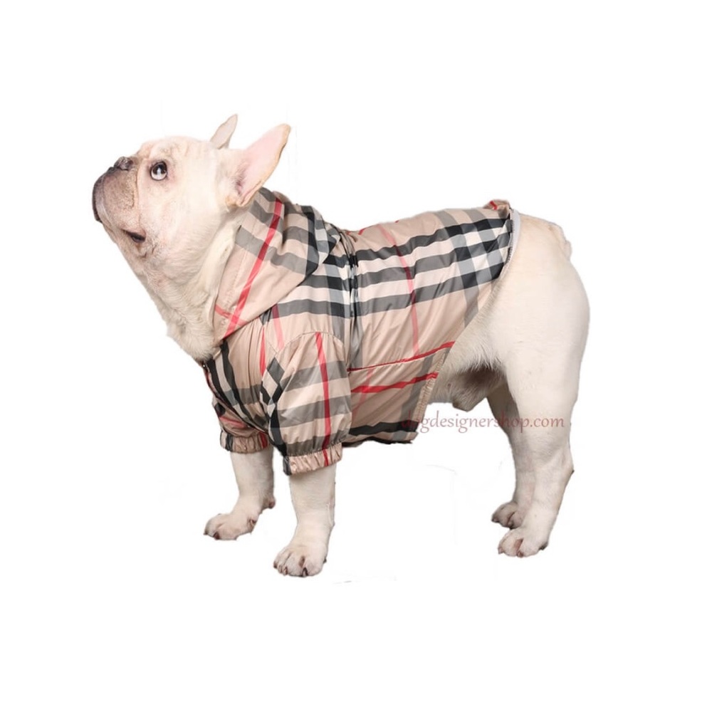 Purberry Dog Wind Jacket